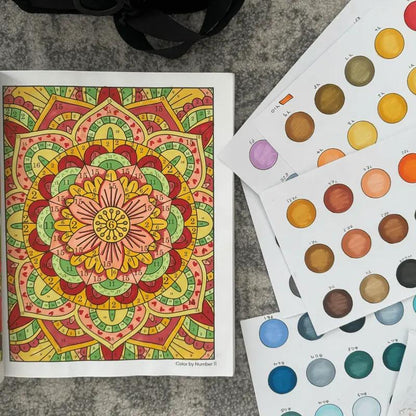 Color By Number For Adults: 75 Beautiful Pictures
